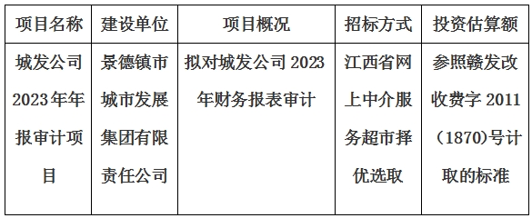 城發(fā)公司2023年年報審計項(xiàng)目計劃公告